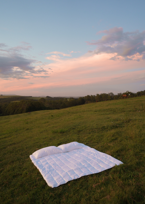 12 Sustainability Terms to Understand for a More Environmentally Conscious Lifestyle