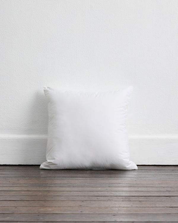 Cushion Insert