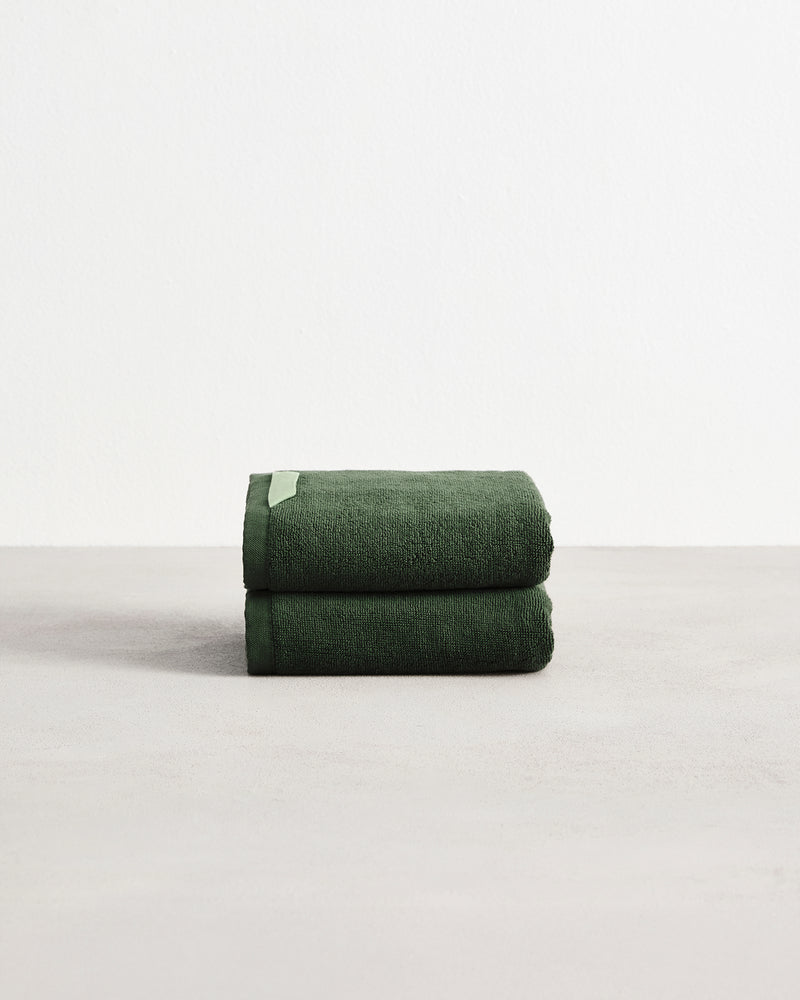 Moss 100% Cotton Terry Hand Towels (Set of Two)